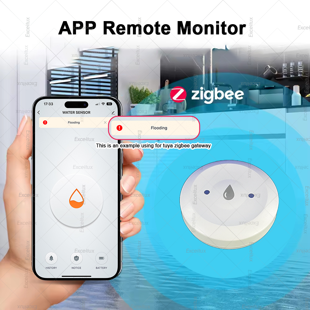 Zigbee Water Detector Leakage  - Smart Home Setup บทวิจารณ์และราคา