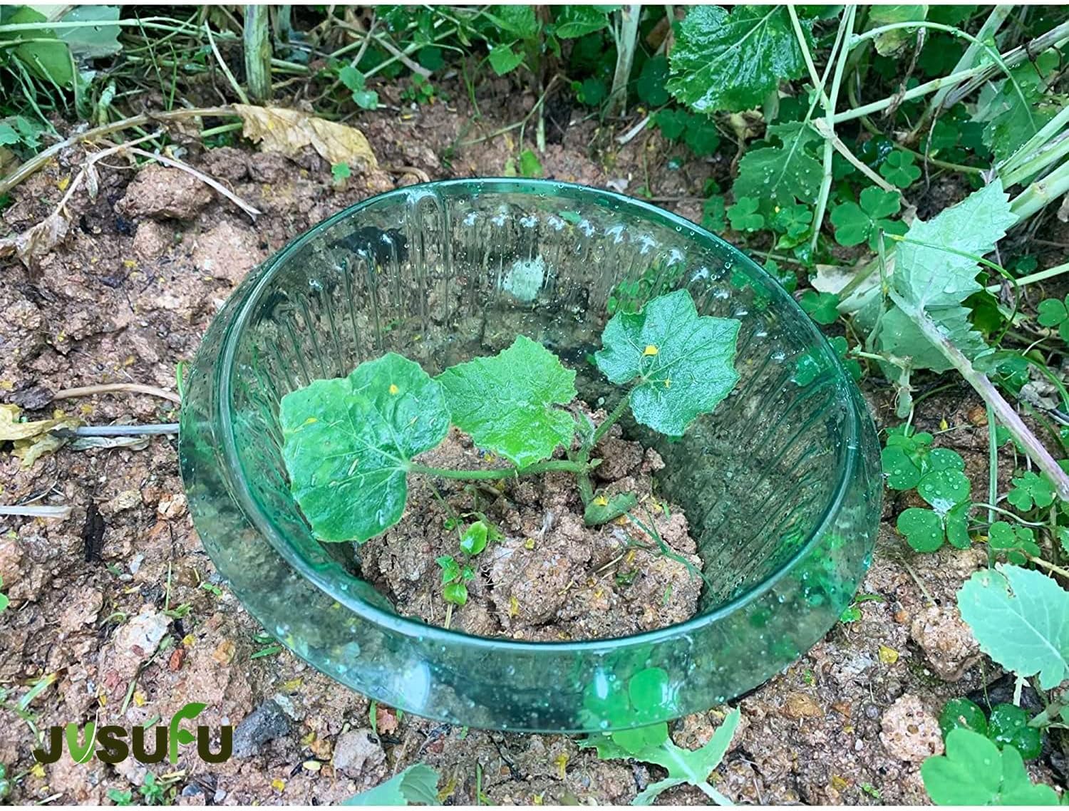 1/30pcs Plants Slug Protection - Smart Home Green บทวิจารณ์และราคา