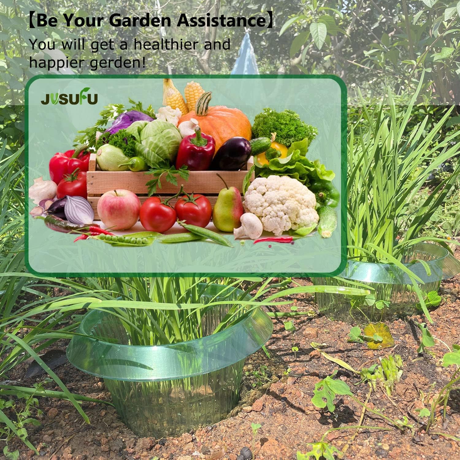 1/30pcs Plants Slug Protection - Smart Home Green บทวิจารณ์และราคา