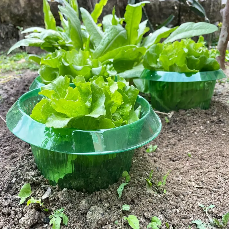 Plants Slug Protection Rings V - Smart Home Green บทวิจารณ์และราคา