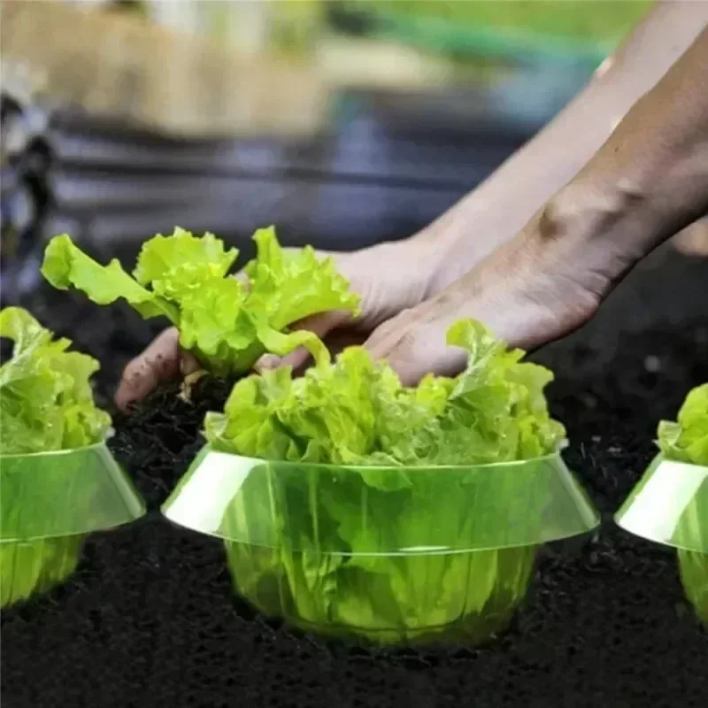 Plants Slug Protection Rings V - Smart Home Green บทวิจารณ์และราคา