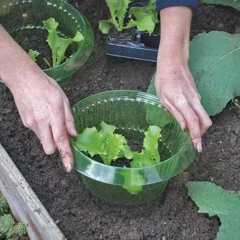 Plants Slug Protection Rings V - Smart Home Green บทวิจารณ์และราคา
