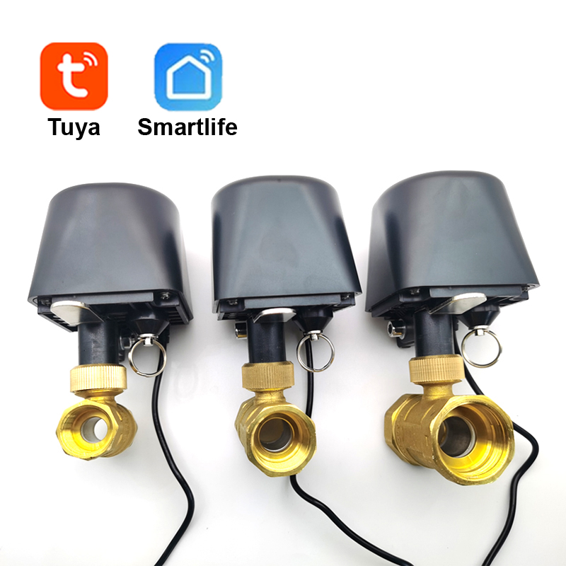 Tuya WiFi or Zigbee Water Valv - Smart Home Green บทวิจารณ์และราคา
